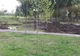Pădurea Vedea s-a transformat în parc... ilegal