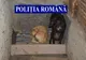 Poliţiştii au făcut nouă percheziţii la braconierii din Olt şi Teleorman. Ce au găsit