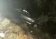 Un tânăr a murit într-un grav accident petrecut în judeţul Teleorman