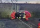 Teleorman: Mecanic de locomotivă reţinut, în urma accidentul de tren de la Roşiori