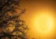 SCHIMBĂRILE CLIMATICE ''AU AGRAVAT CELE MAI LETALE EVENIMENTE METEO'' DIN ULTIMII 20 DE ANI, INCLUSIV ÎN ROMÂNIA