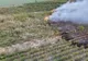 TELEORMAN: INCENDIU DE VEGETAȚIE LA PIETROȘANI. ZECI DE HECTARE AFECTATE 