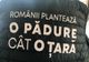Campanie gigant de împădurire. Ministrul Mediului, Costel Alexe: Anul acesta, vom ridica 2.500 de păduri de la zero